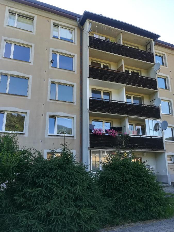 Apartman 21 Apartment Loučná nad Desnou Exterior foto